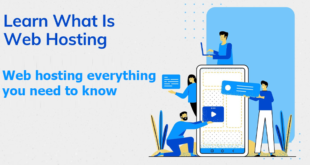 Web hosting everything you need to know